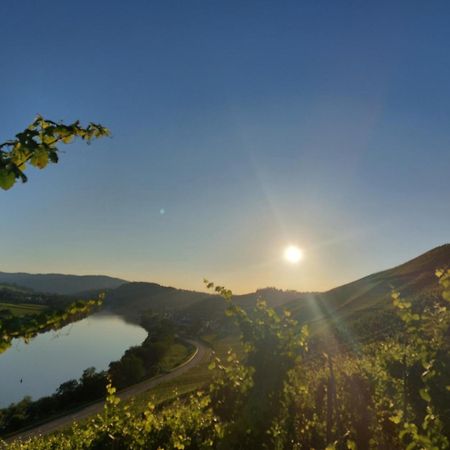 Ferienwohnungen Zum Niederberg リーザー エクステリア 写真