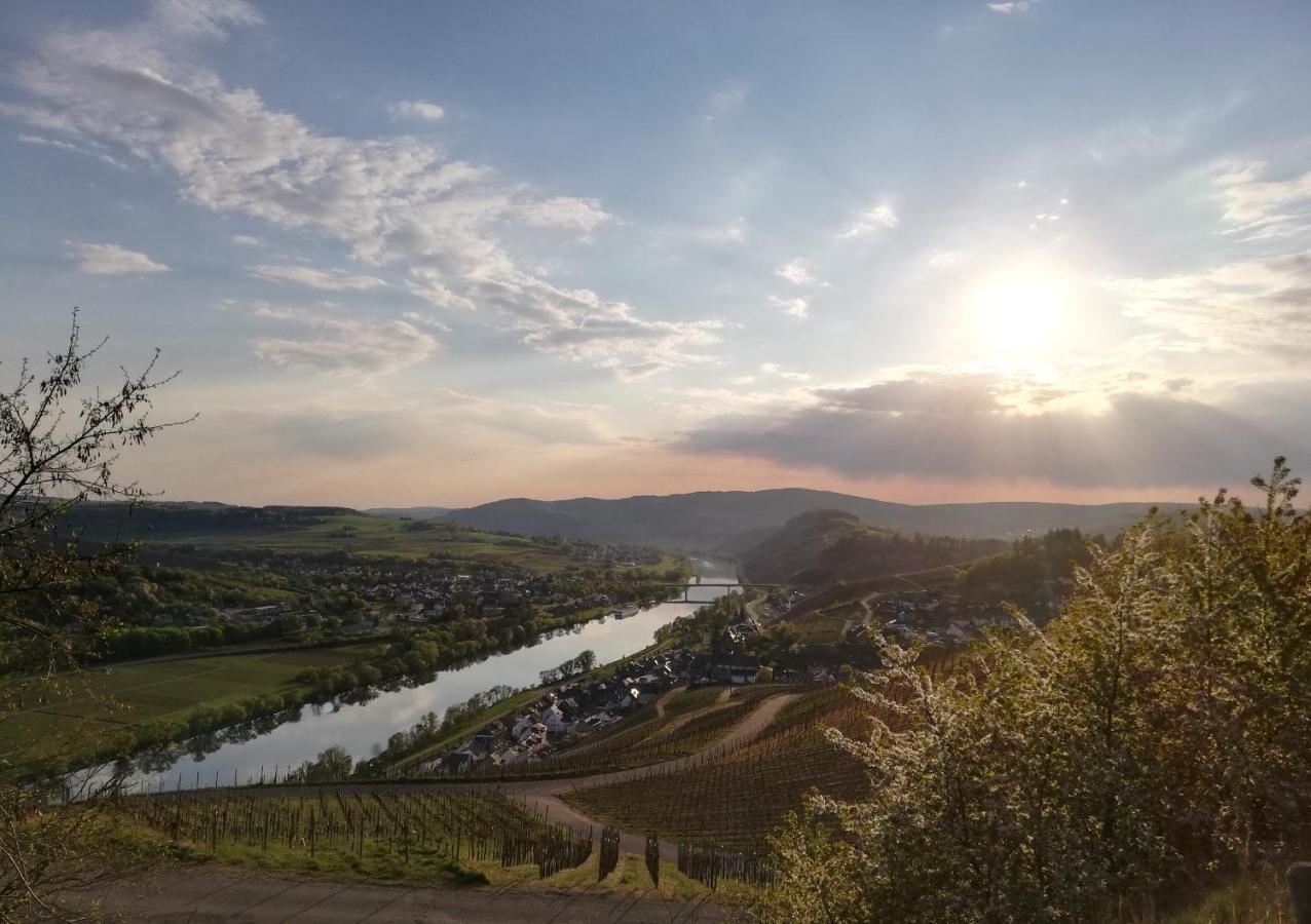 Ferienwohnungen Zum Niederberg リーザー エクステリア 写真