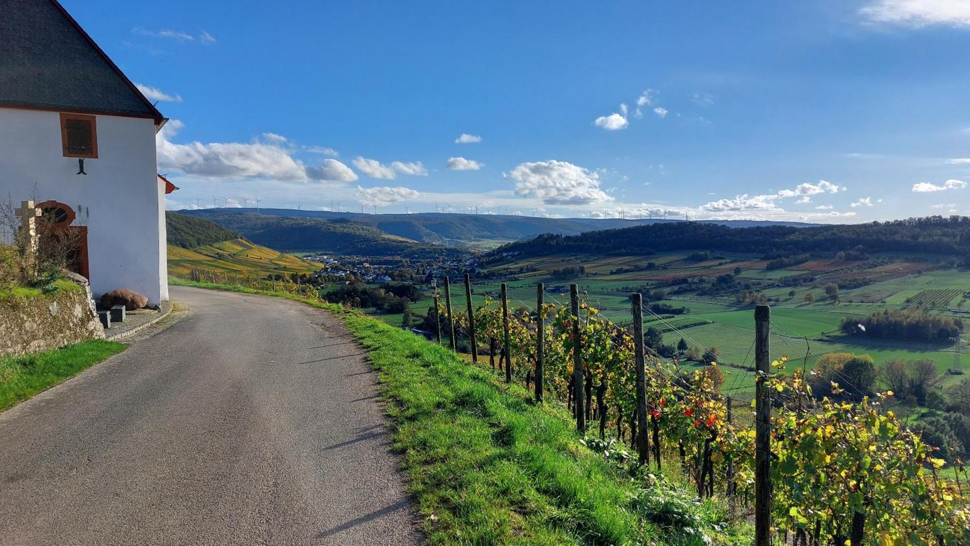 Ferienwohnungen Zum Niederberg リーザー エクステリア 写真
